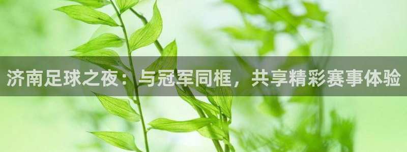  济南足球之夜：与冠军同框，共享精彩赛事体验