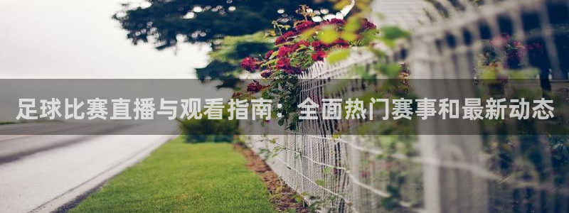 足球比赛直播与观看指南：全面热门赛事和最新动态