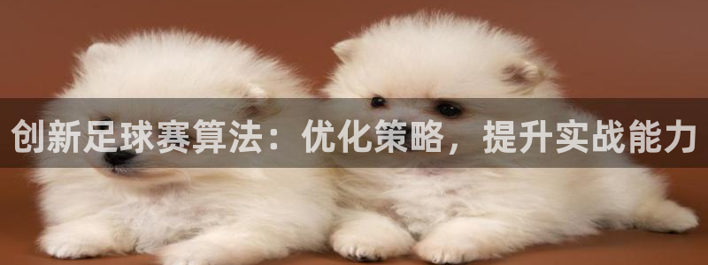 创新足球赛算法：优化策略，提升实战能力