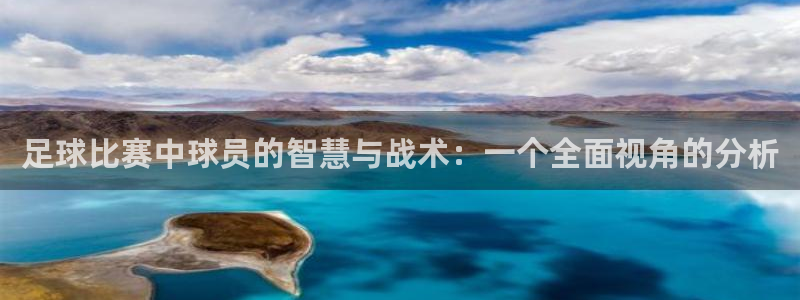  足球比赛中球员的智慧与战术：一个全面视角的分析