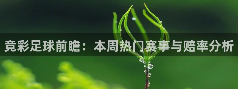  竞彩足球前瞻：本周热门赛事与赔率分析
