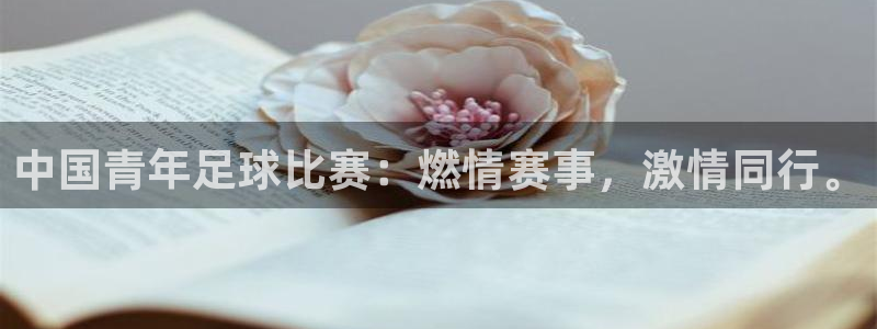  中国青年足球比赛：燃情赛事，激情同行。