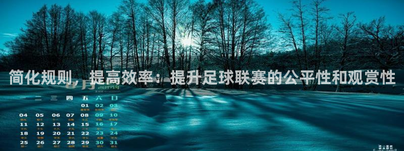  简化规则，提高效率：提升足球联赛的公平性和观赏性