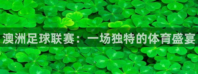 澳洲足球联赛：一场独特的体育盛宴