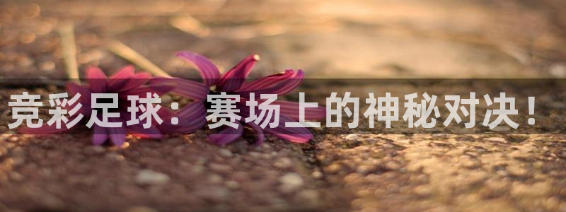 178直播体育nba：竞彩足球：赛场上的神秘对决！