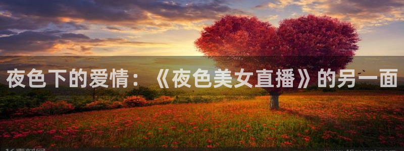 178免费直播体育：夜色下的爱情：《夜色美女直播》的另一面