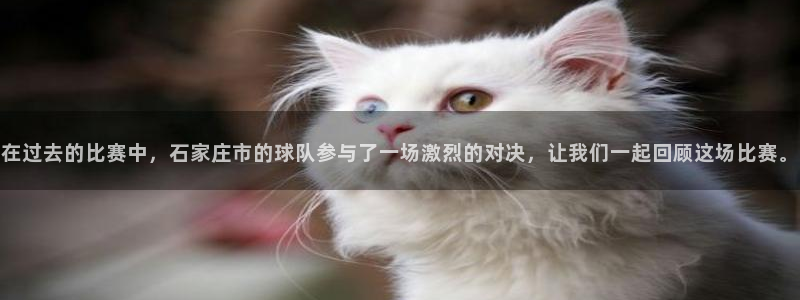 在过去的比赛中，石家庄市的球队参与了