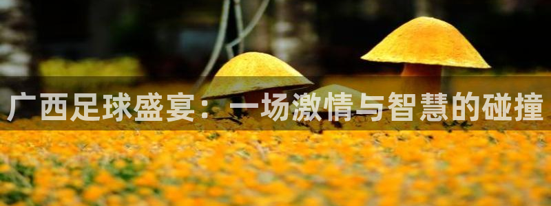 广西足球盛宴：一场激情与智慧的碰撞