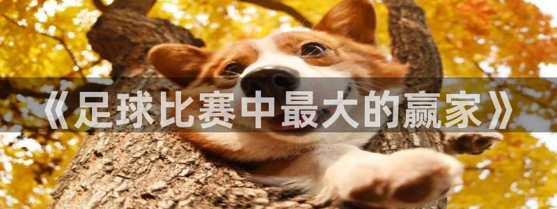 《足球比赛中最大的赢家》