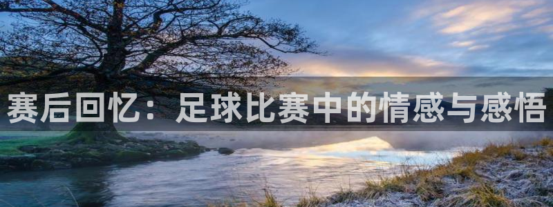 赛后回忆：足球比赛中的情感与感悟