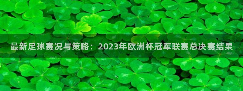 最新足球赛况与策略：2023年欧洲杯