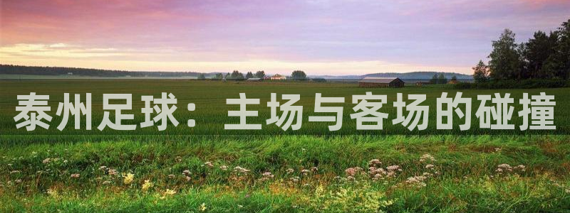 泰州足球：主场与客场的碰撞