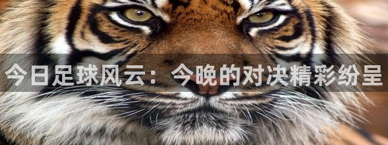 今日足球风云：今晚的对决精彩纷呈