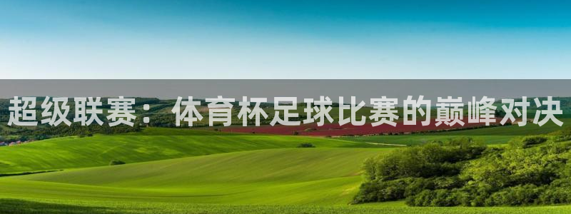 超级联赛：体育杯足球比赛的巅峰对决
