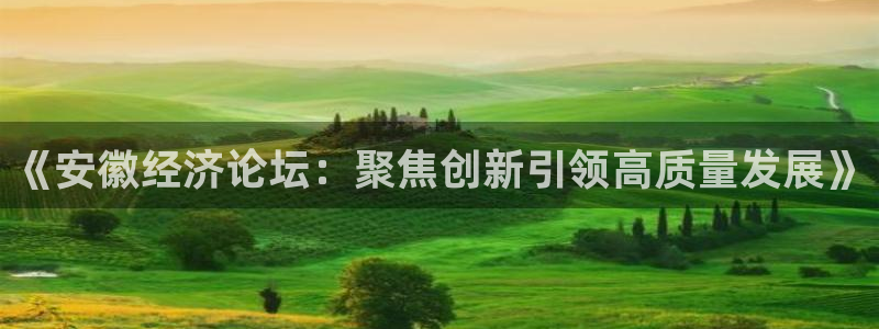 178足球在线直播：《安徽经济论坛：聚焦创新引领高质量发展》