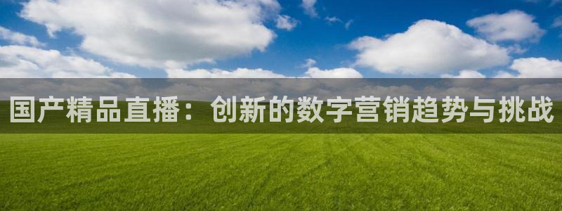 178足球直播平台：国产精品直播：创新的数字营销趋势与挑战