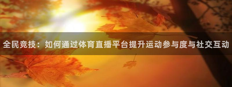 体育直播178：全民竞技：如何通过体育直播平台提升运动参与度与社交互动
