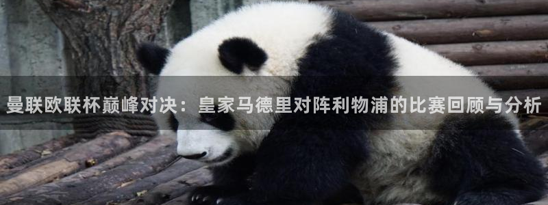 178在线看足球直播：曼联欧联杯巅峰对决：皇家马德里对阵利物浦的比赛回顾与分析
