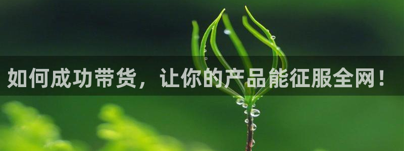 篮球178直播在线直播观看免费：如何成功带货，让你的产品能征服全网！